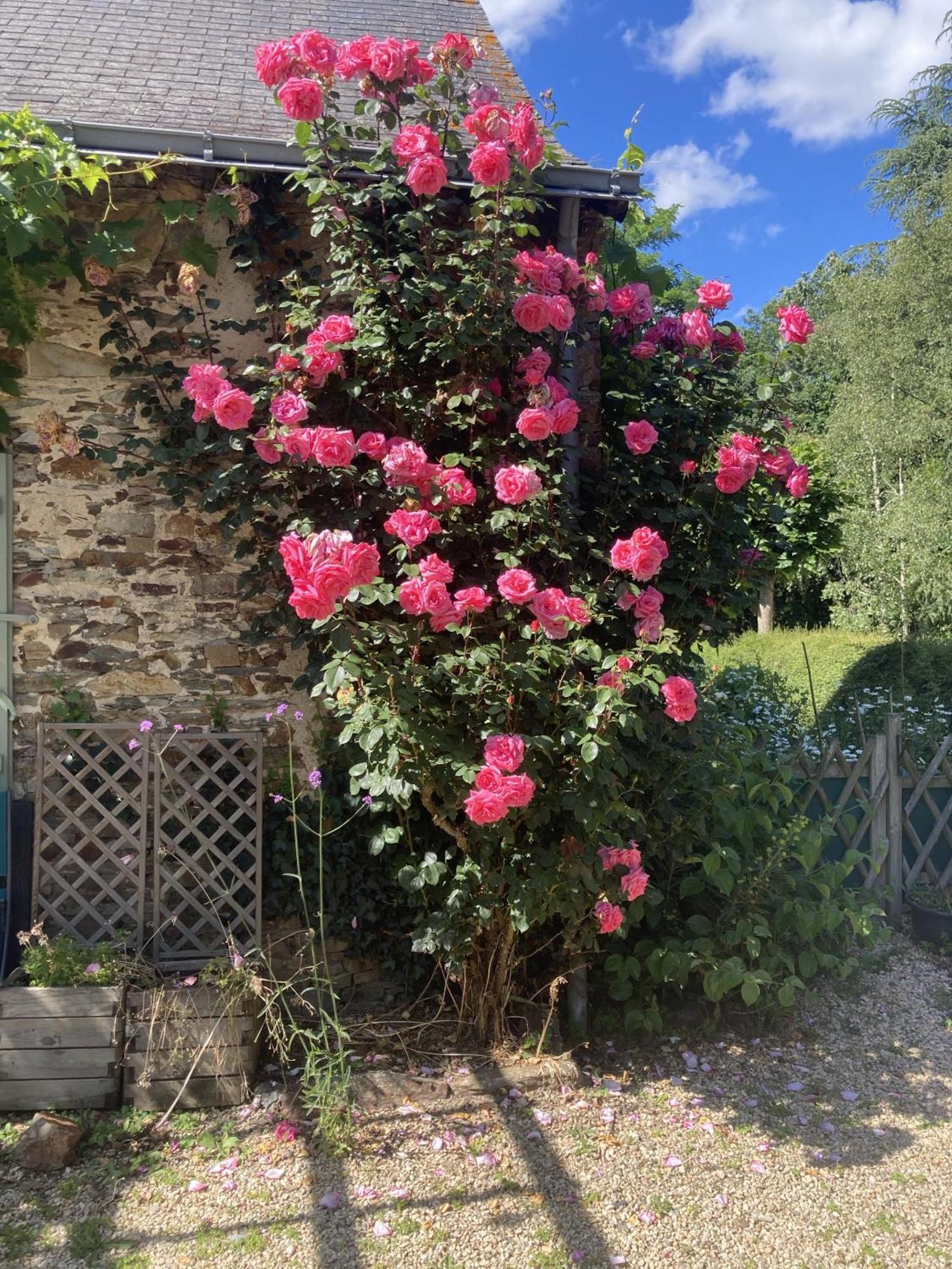 Chambres D'Hotes - La Marmoire Soudan (Loire-Atlantique) Exterior foto